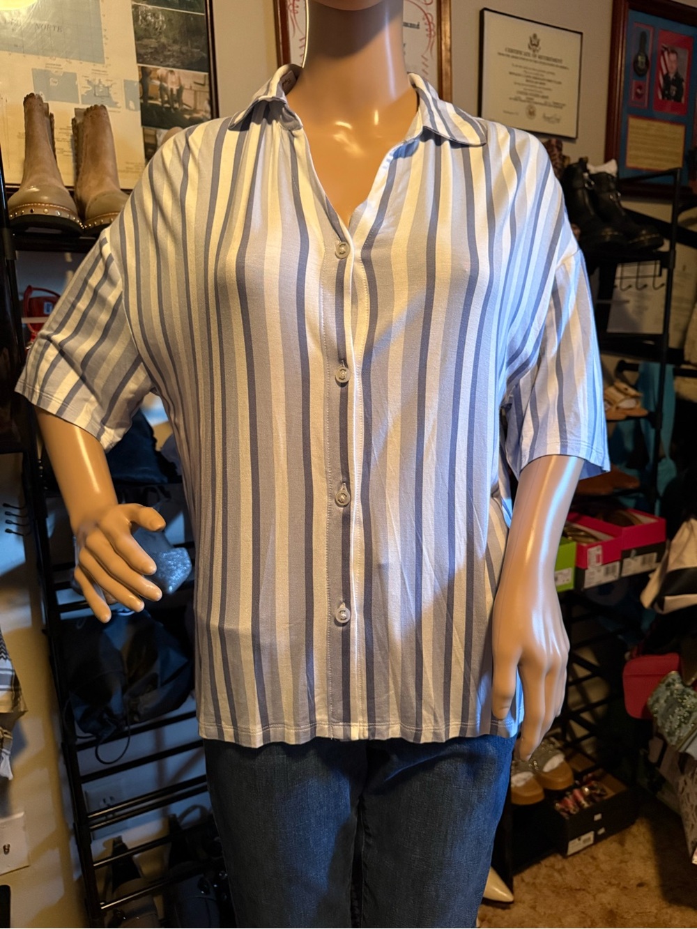 Splendid Vertical Stripe Button-Down Shirt in Blue and White